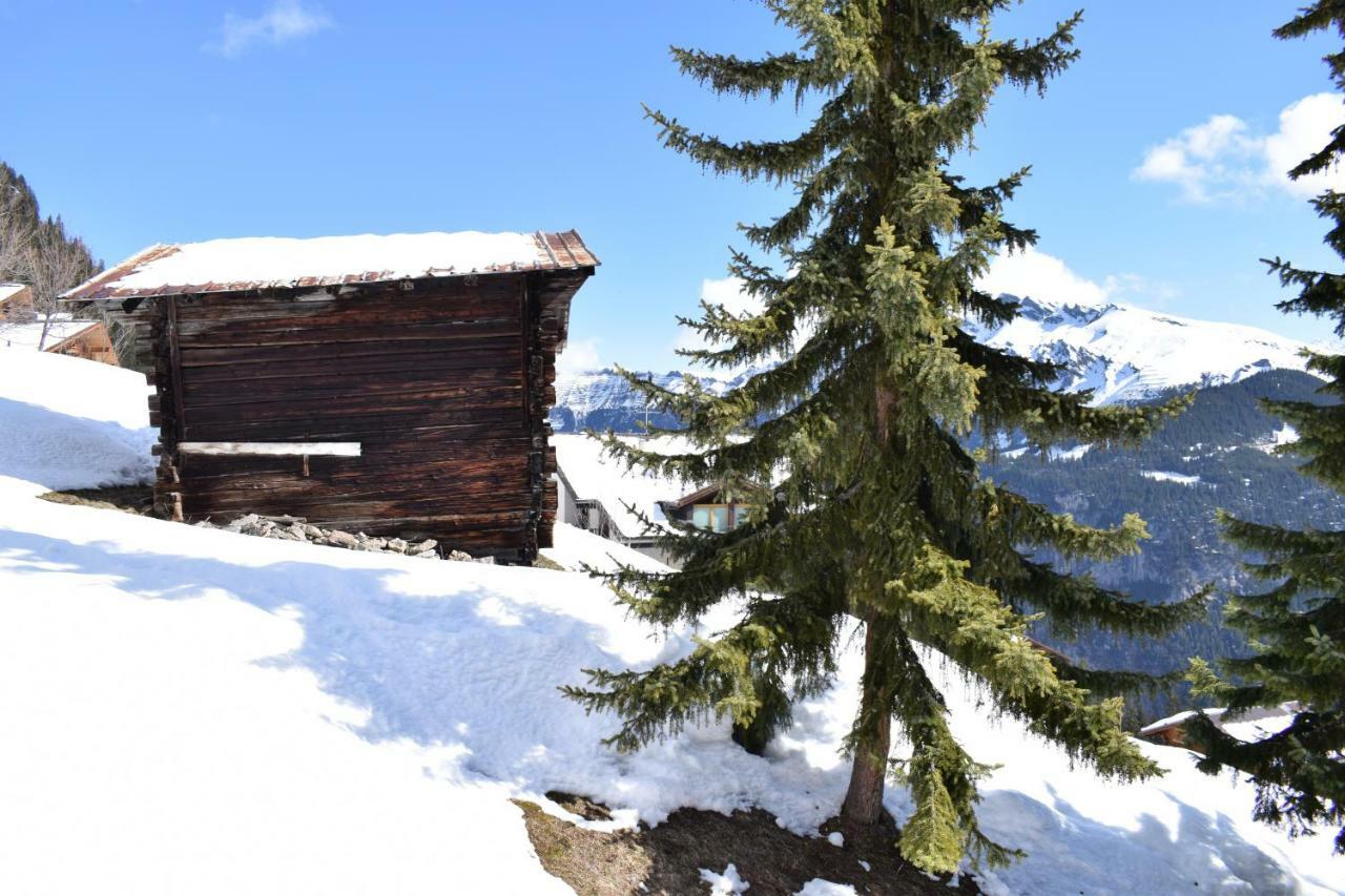 Sportlodge Muerren Extérieur photo