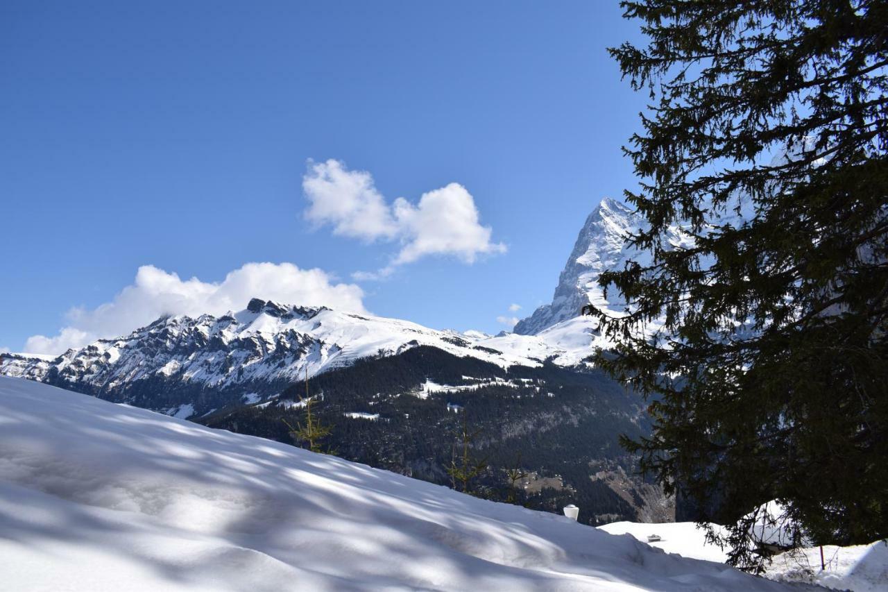 Sportlodge Muerren Extérieur photo